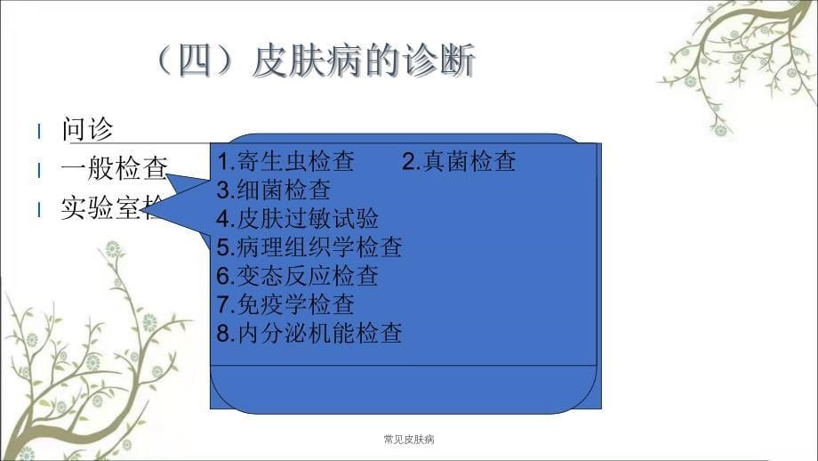 常见皮肤病课件_第5页