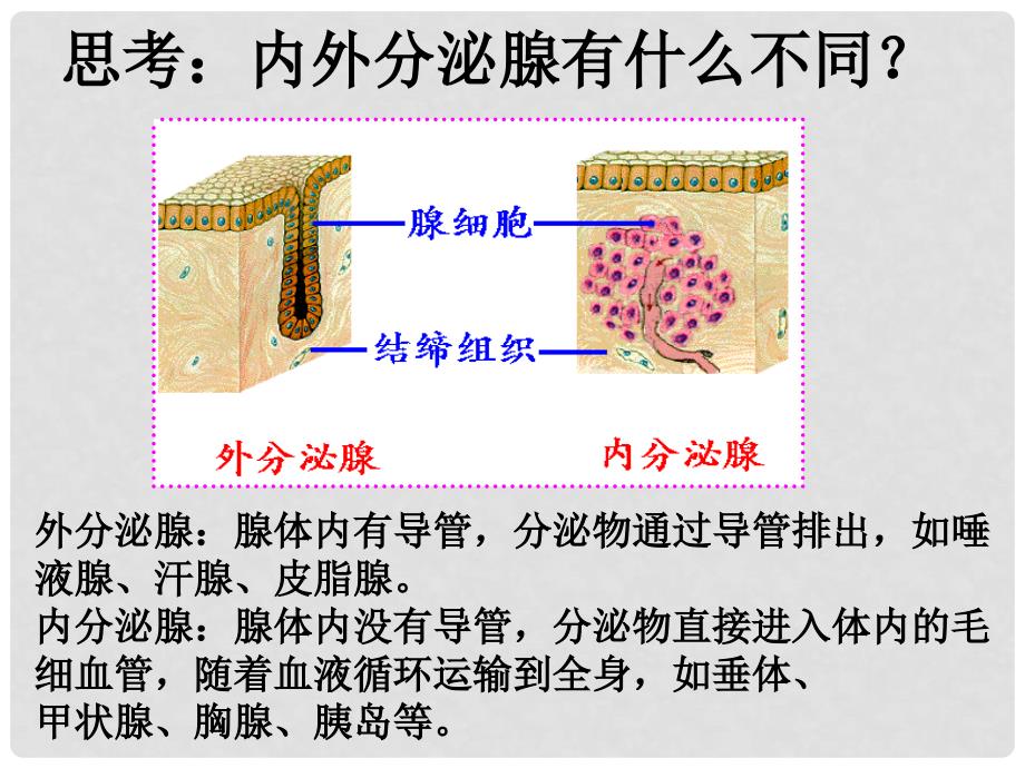 山西省晋中市介休四中高中生物 2.2 通过激素的调节课件 新人教版必修3_第2页