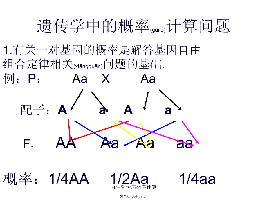 两种遗传病概率计算课件_第2页