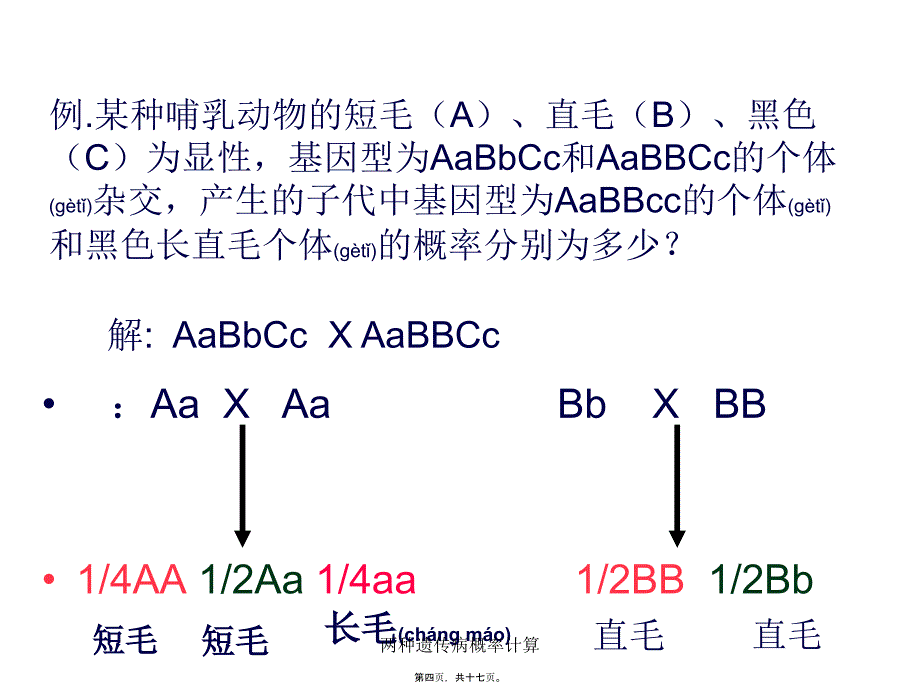 两种遗传病概率计算课件_第4页