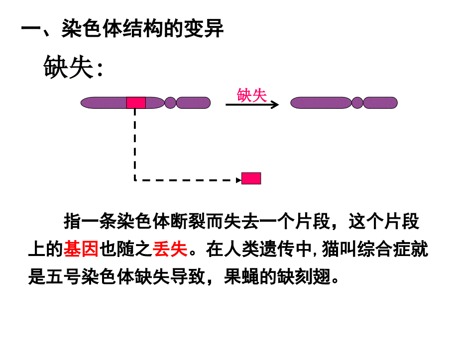 染色体变异201814_第4页