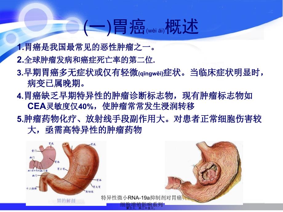 特异性微小RNA-19a抑制剂对胃癌细胞增殖影响系列课件_第3页