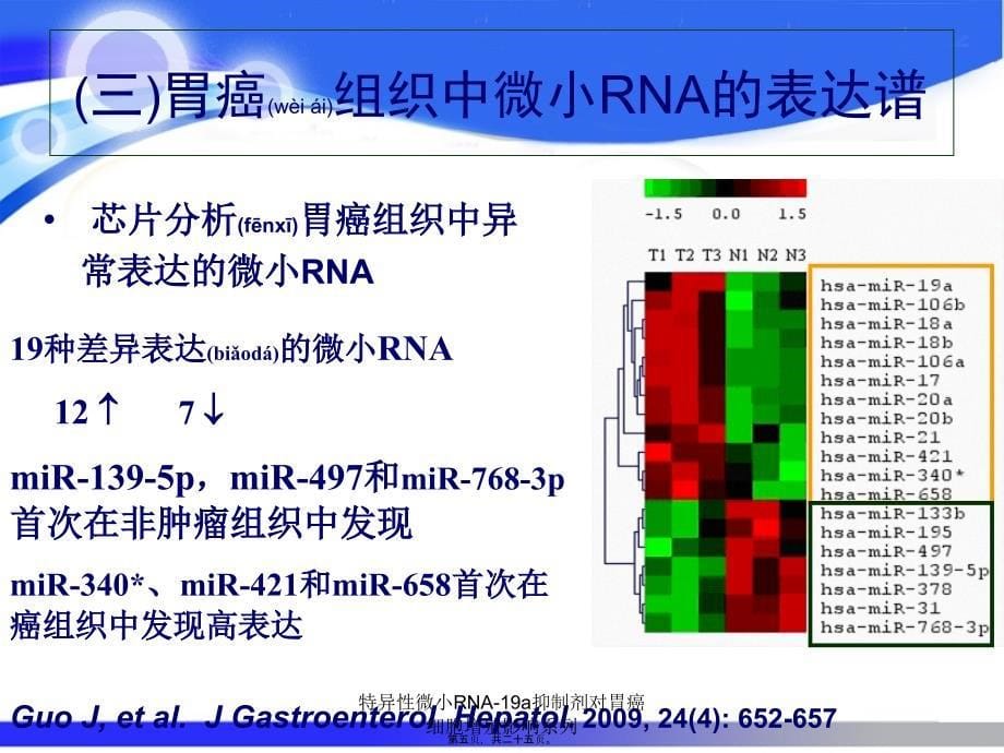 特异性微小RNA-19a抑制剂对胃癌细胞增殖影响系列课件_第5页