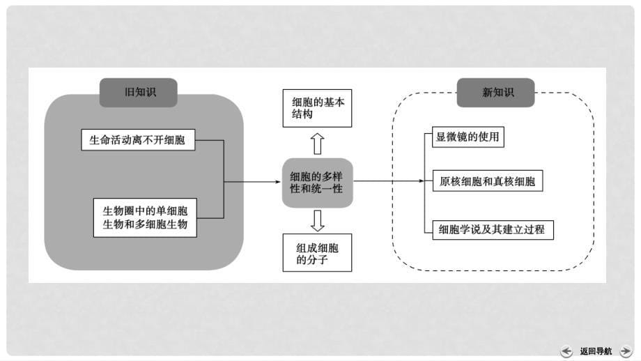 高中生物 第一章 走近细胞 第2节 细胞的多样性和统一性课件 新人教版必修1_第5页