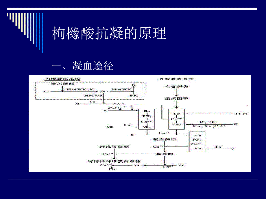 CRRT的枸橼酸抗凝课件.ppt_第2页