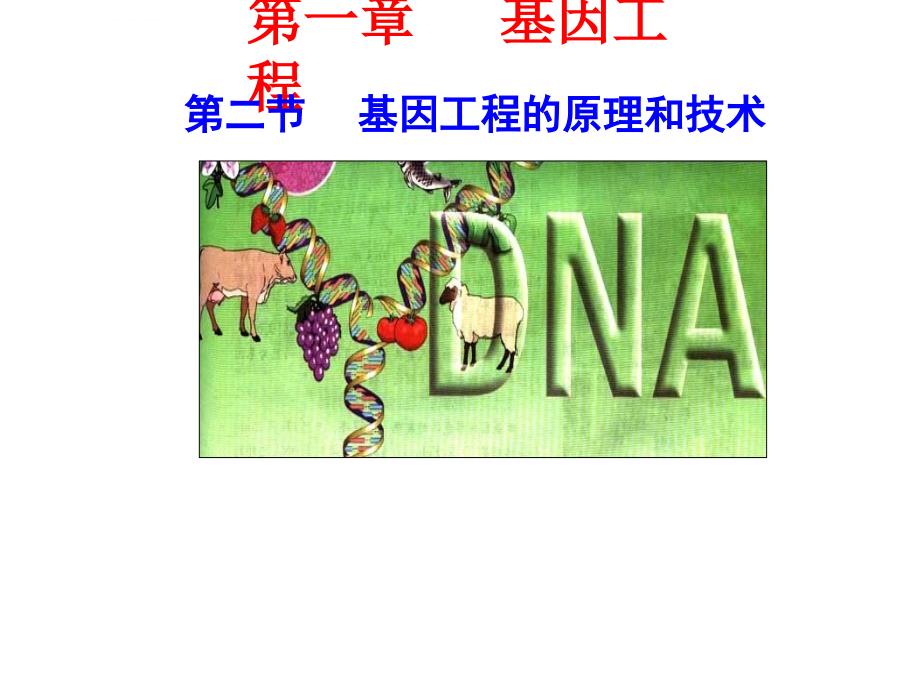 基因工程的基本操作步骤ppt课件_第1页