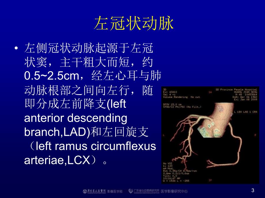 正常冠状动脉解剖_第3页