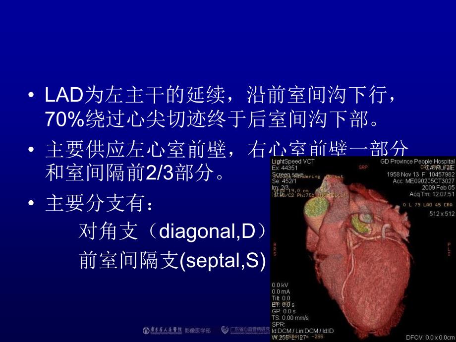 正常冠状动脉解剖_第4页