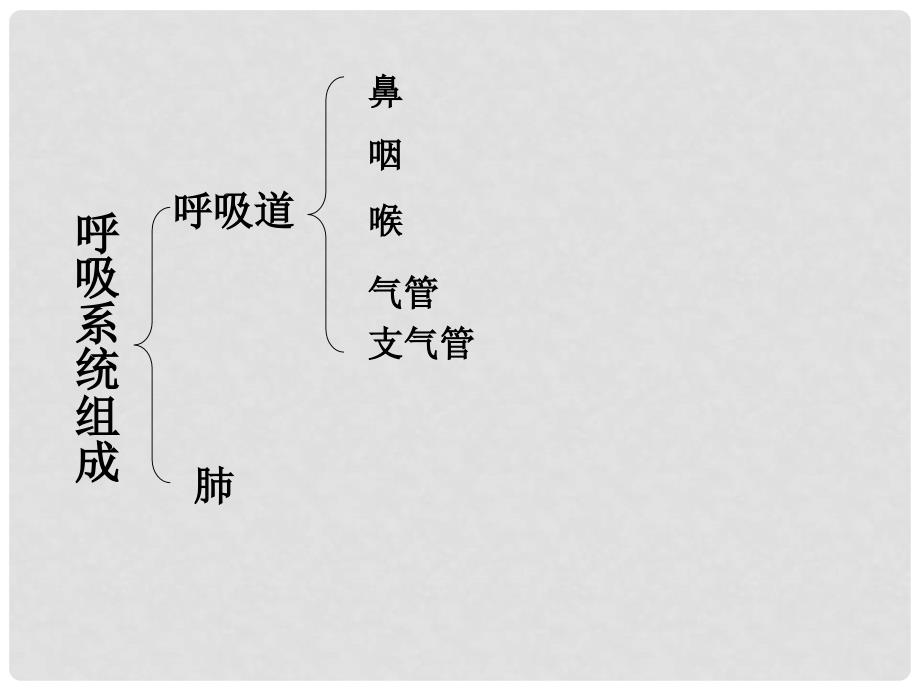 七年级生物下册 第三章 第一节 呼吸道对空气的处理课件 新人教版_第4页