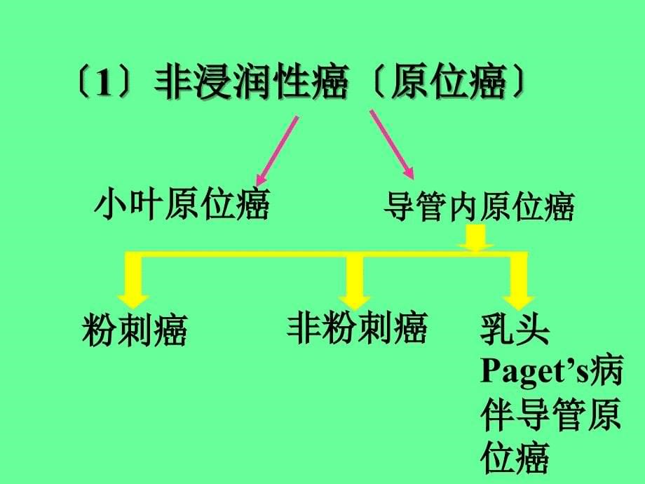 病理学课件乳腺癌_第5页