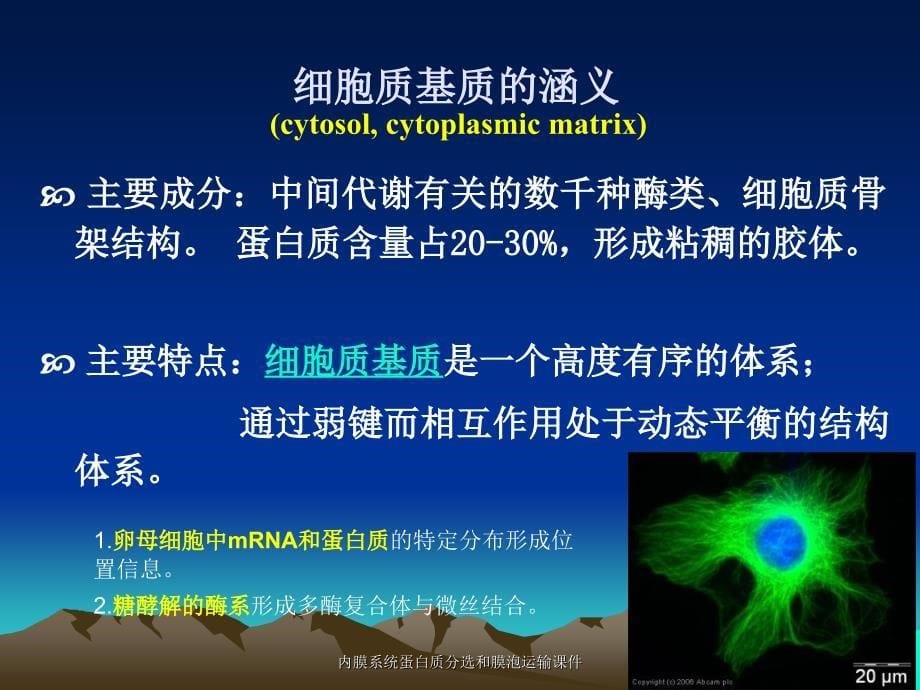 内膜系统蛋白质分选和膜泡运输课件_第5页