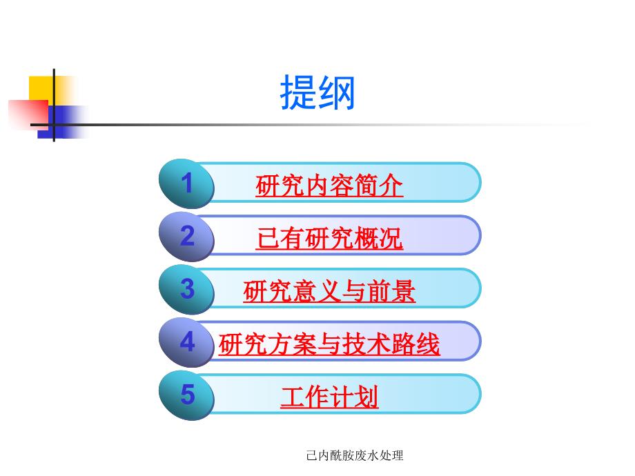 己内酰胺废水处理课件_第2页