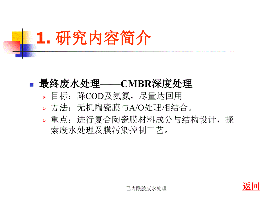 己内酰胺废水处理课件_第3页