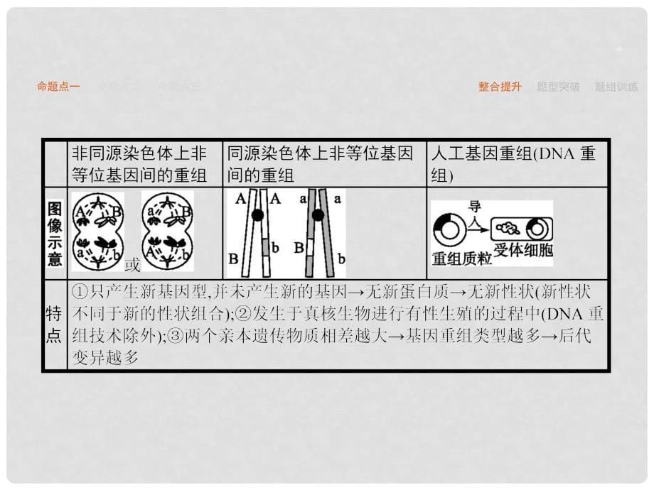 高考生物二轮复习 专题9 变异、育种和进化课件_第5页