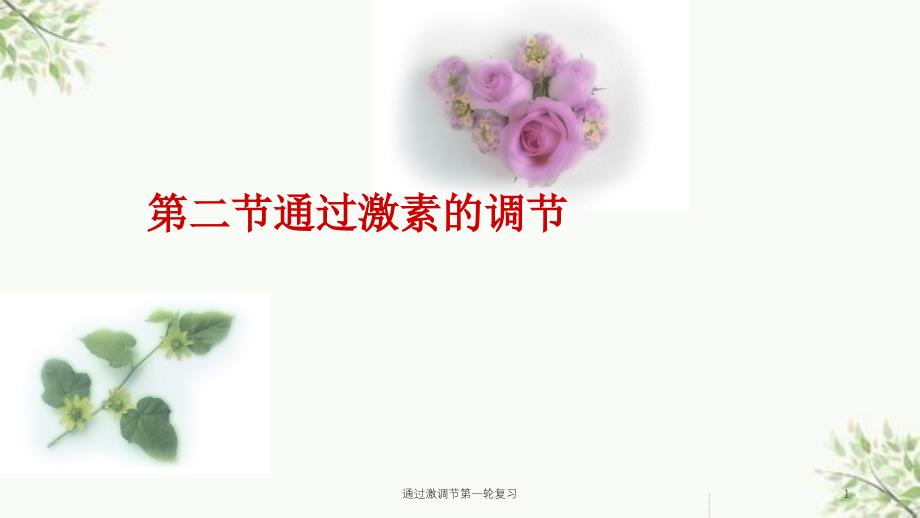 通过激调节第一轮复习课件_第1页