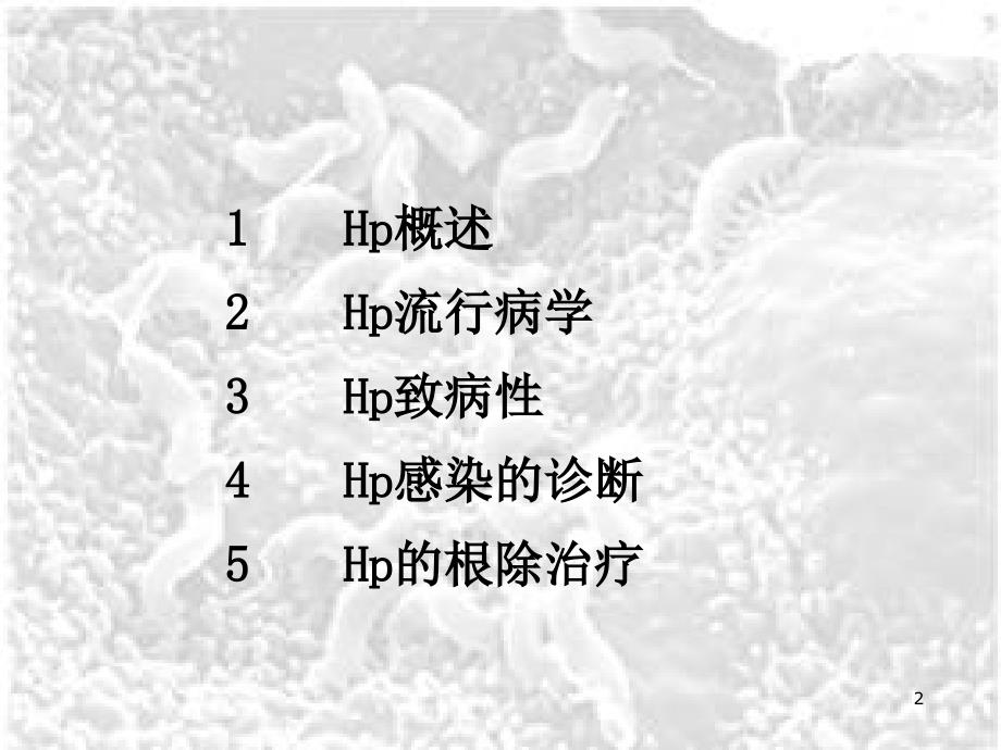 优质医学幽门螺杆菌的最新诊治_第2页