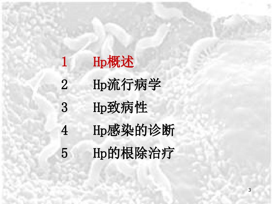 优质医学幽门螺杆菌的最新诊治_第3页