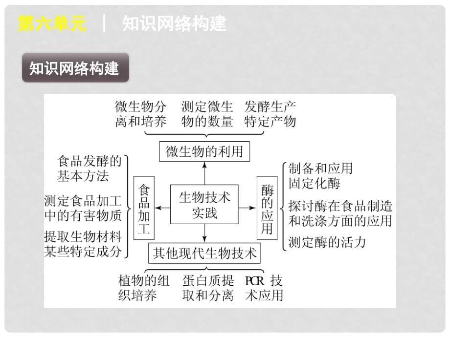 广东省高考生物二轮复习 选修部分课件 新课标_第5页