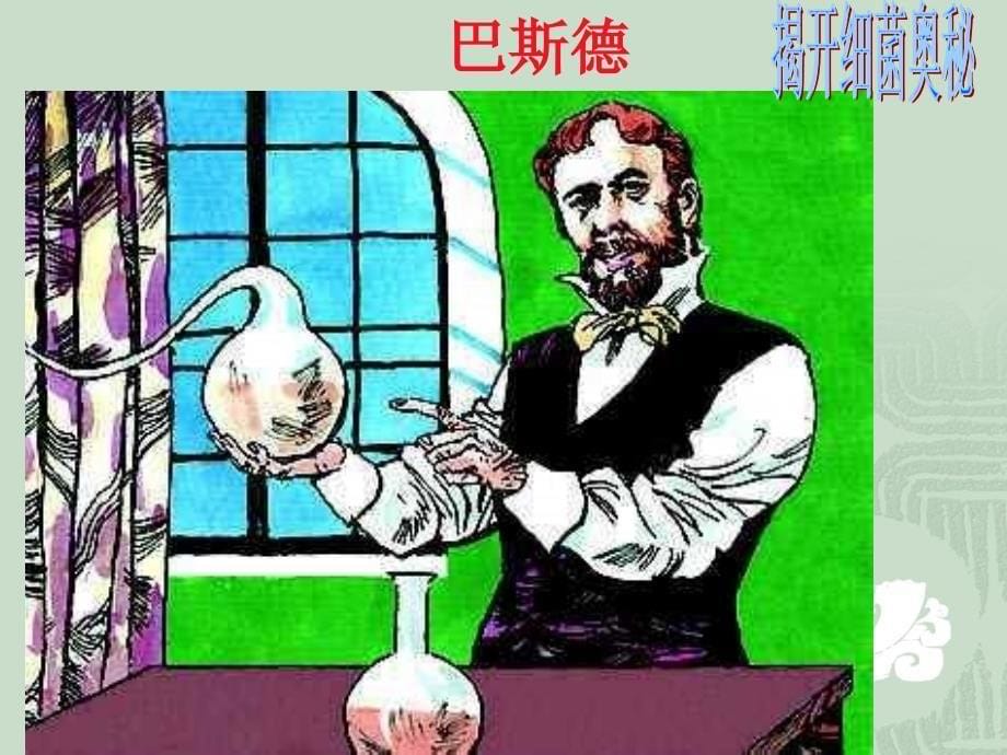 八年级生物上《细菌》课件_第5页