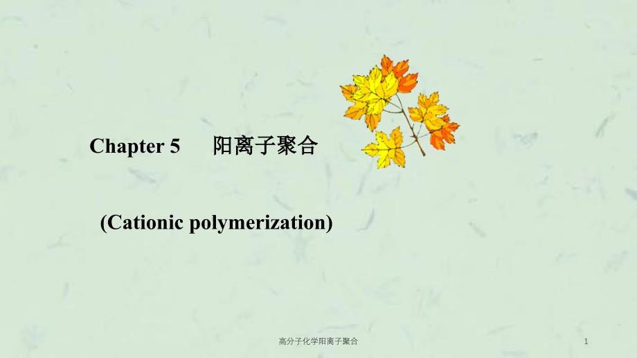 高分子化学阳离子聚合课件_第1页