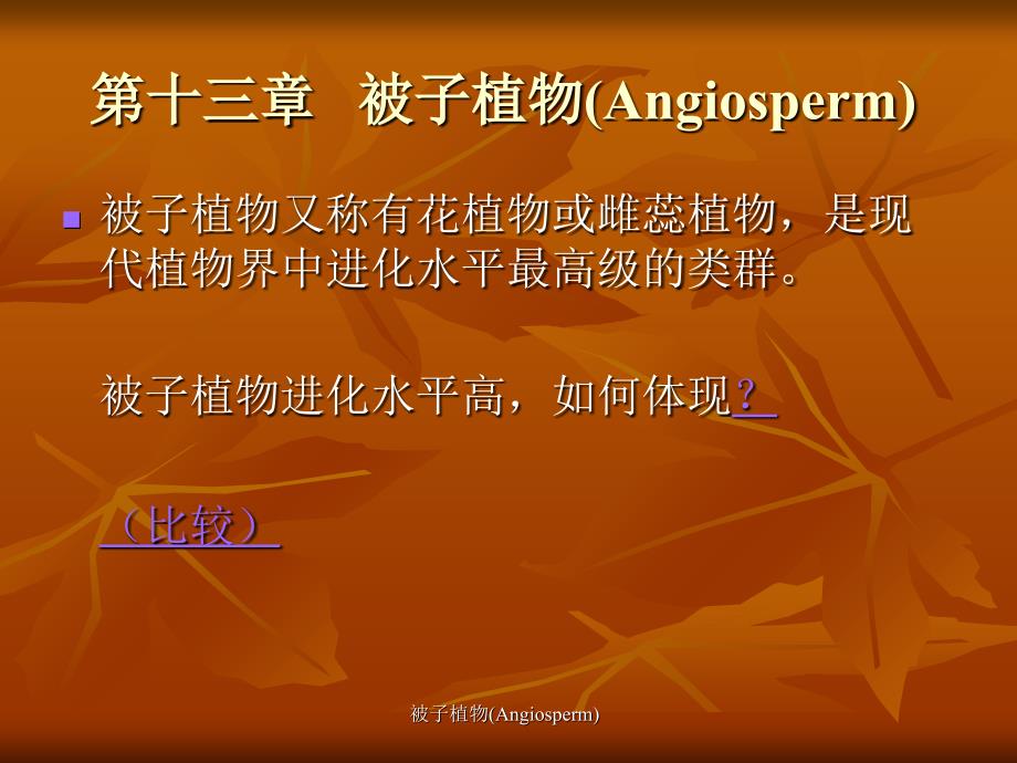 被子植物(Angiosperm)_第1页