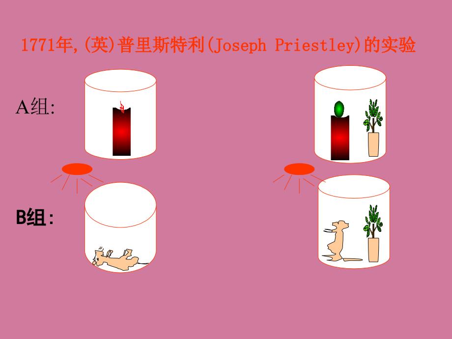 光合作用二光合作用的原理和应用ppt课件_第3页