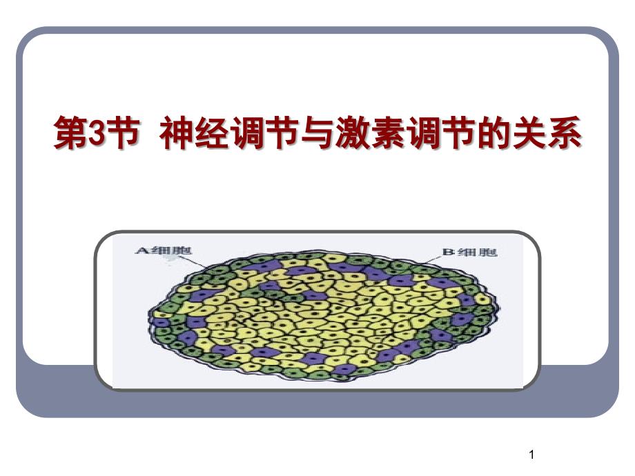 人教版教学神经调节与体液调节的关系课堂PPT_第1页