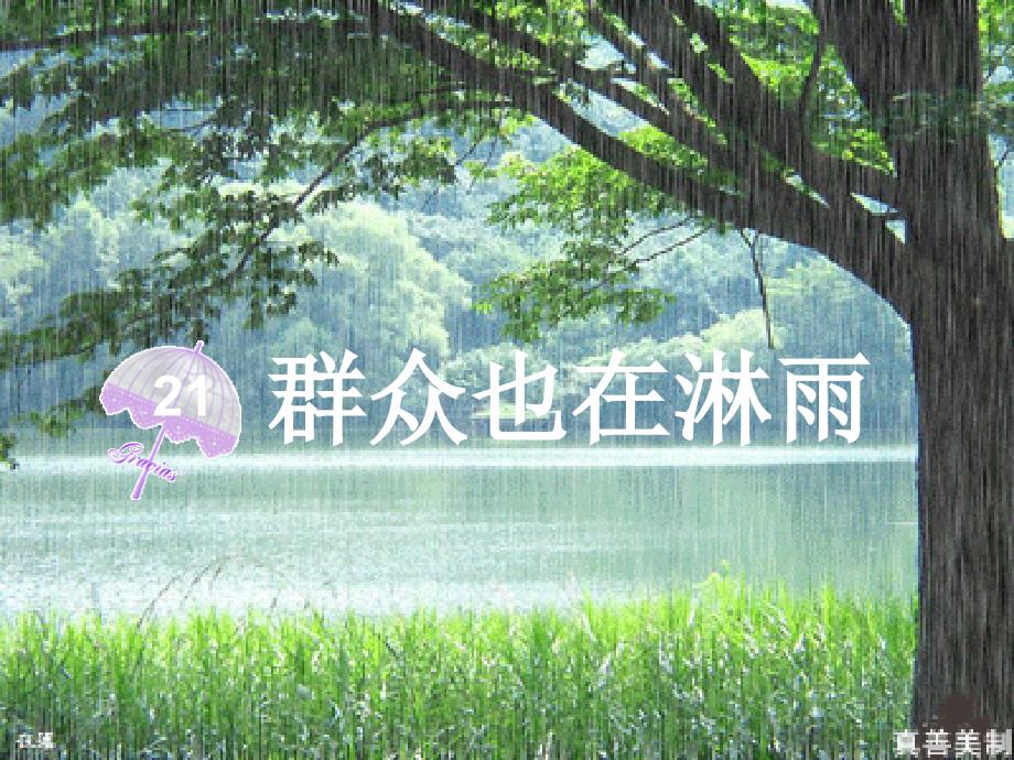 三年级语文上册 群众也在淋雨课件4 语文S版.ppt_第1页