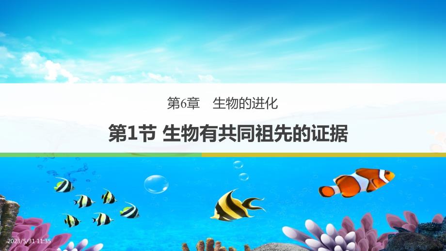 【课件】生物有共同祖先的证据+课件高一下学期生物人教版必修2_第1页