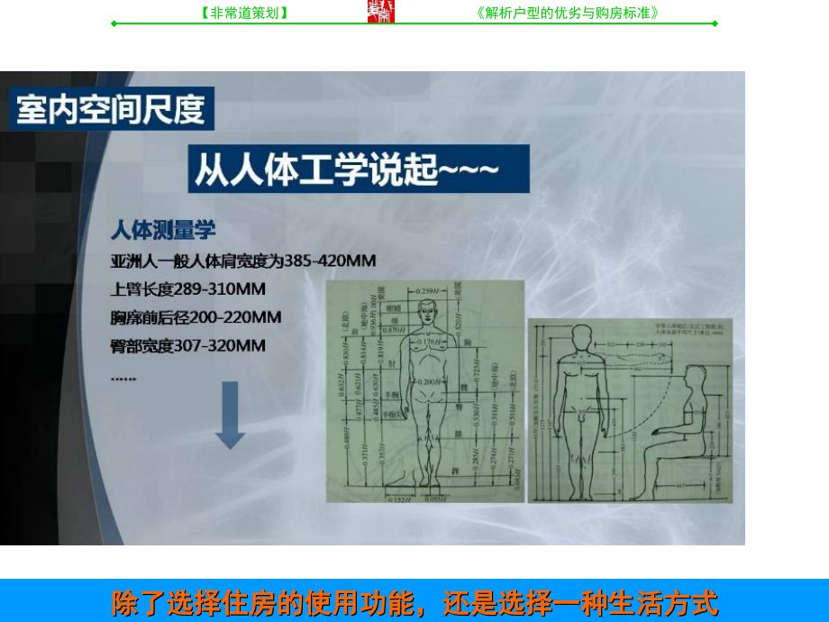 经典户型研究与赏析_第3页