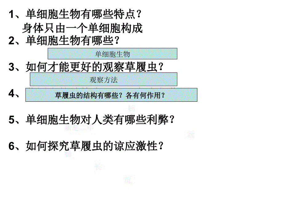 224单细胞生物 (2)_第3页