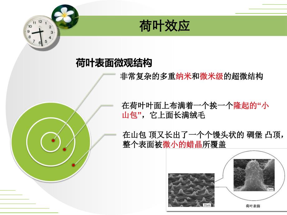 荷叶效应仿生材料_第4页