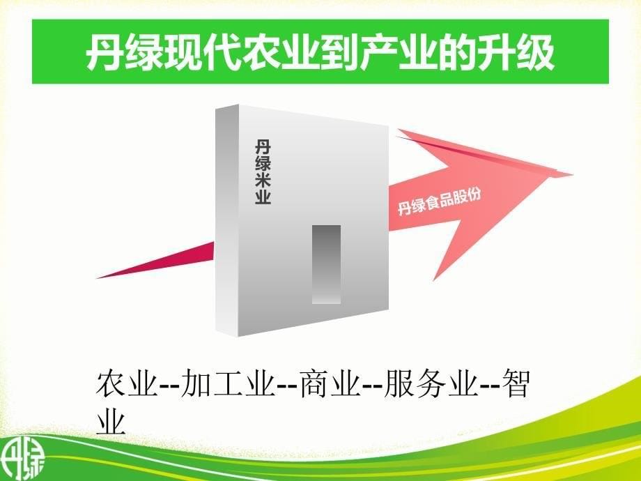 现代农业深加工与丹绿新品的升级620修改.ppt_第5页