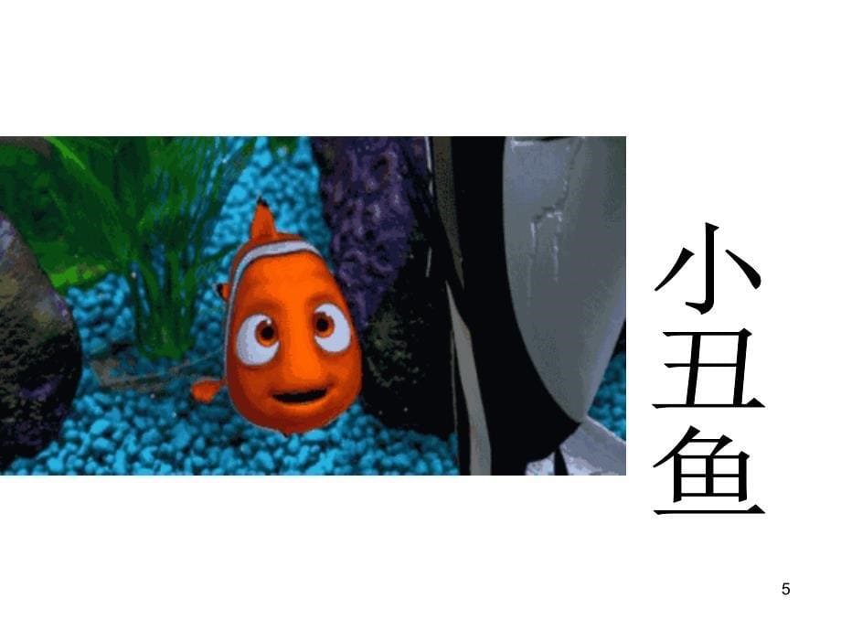 海洋生物知识ppt课件.ppt_第5页