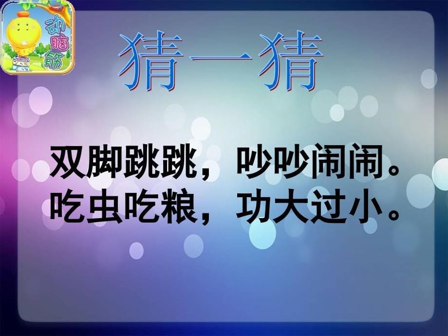 小麻雀教学课件_第5页