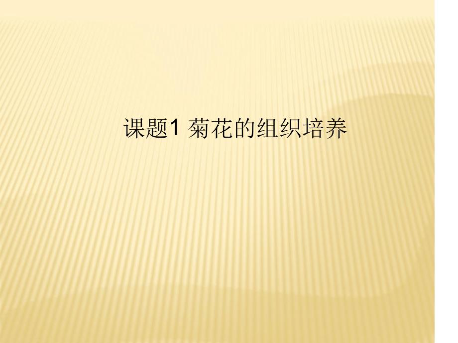 高二生物选修1同步课件菊花的组织培养共19张共19张_第1页