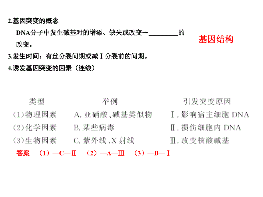 一轮复习基因突变和基因重组课件41_第3页