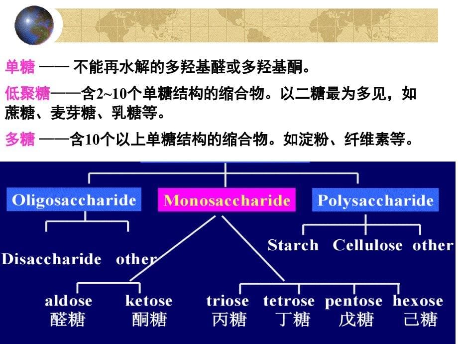 第十五章碳水化合物_第5页