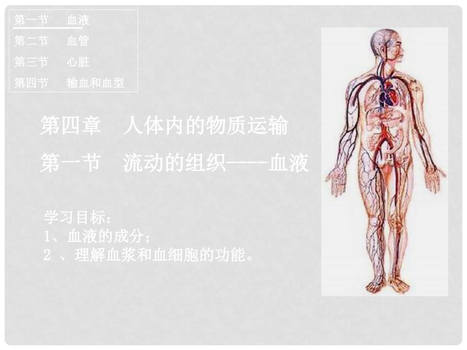 湖北省武汉市为明实验学校七年级生物下册《4.1 流动的组织血液》课件 人教新课标版_第1页