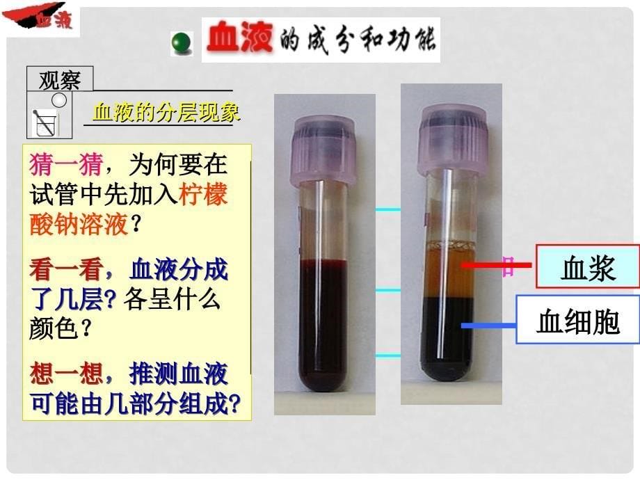 湖北省武汉市为明实验学校七年级生物下册《4.1 流动的组织血液》课件 人教新课标版_第5页