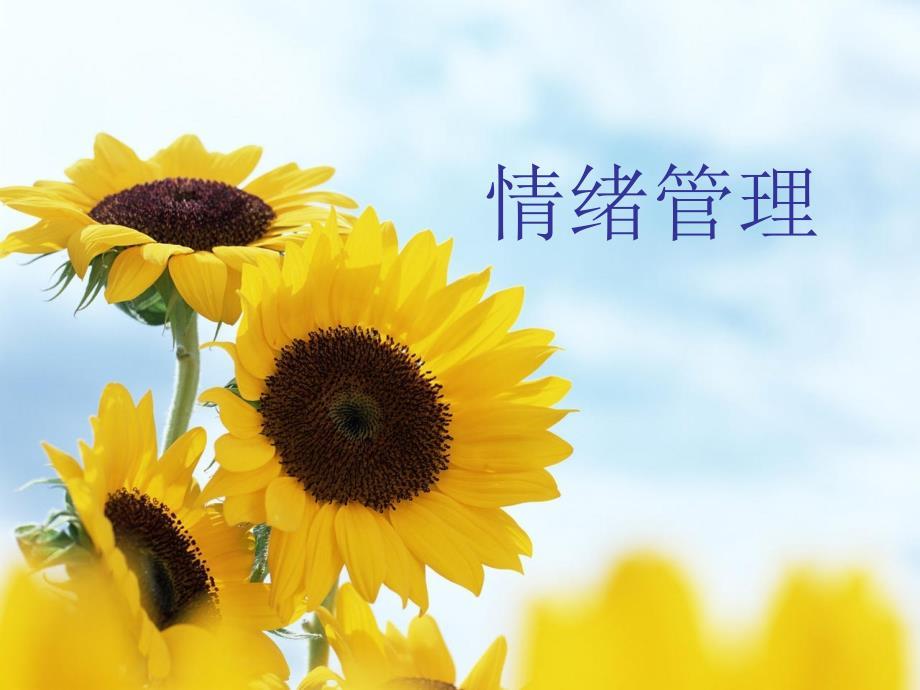 大学生心理健康教育--情绪与情绪管理