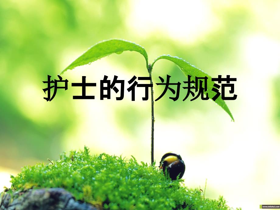 护士行为规范ppt课件_第1页