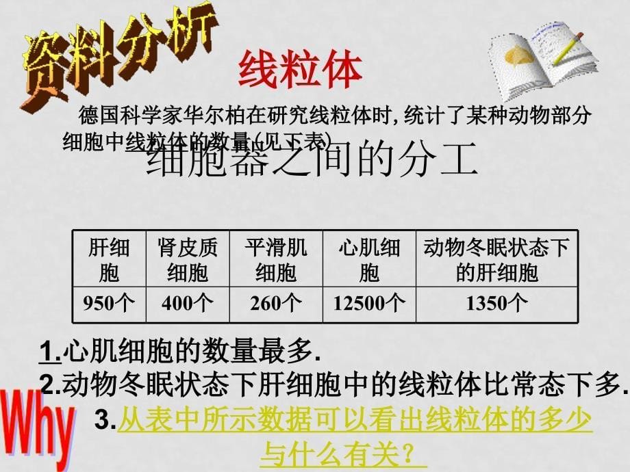 高中生物 3.2《细胞器——系统的分工合作》课件 新人教版必修1_第5页