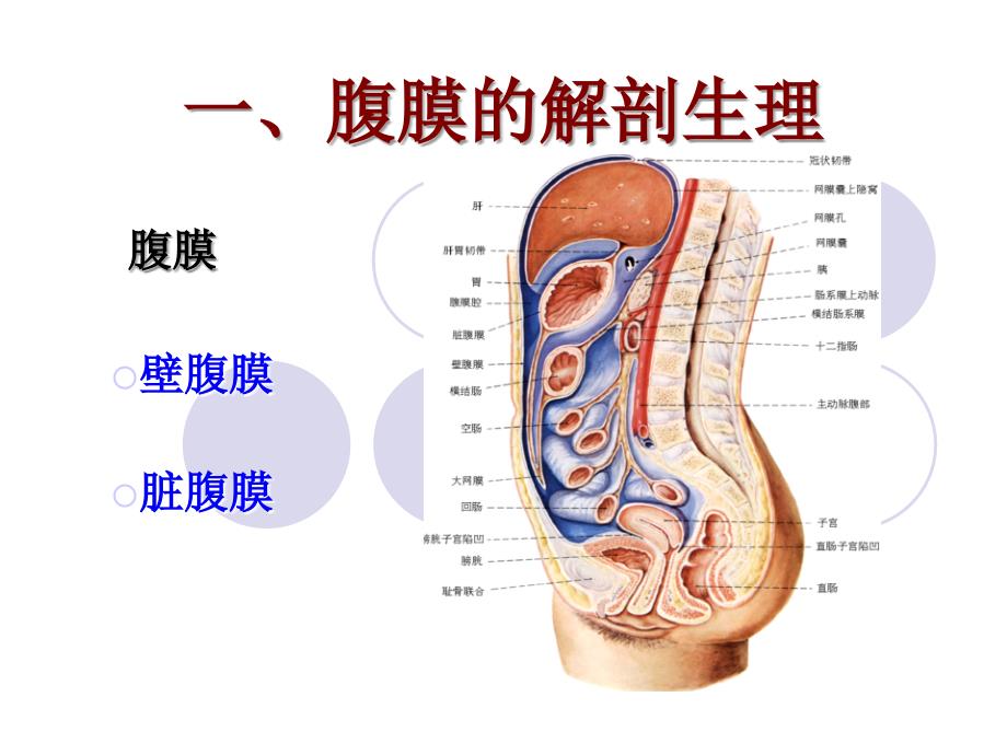 急腹膜炎acuteperitonitisP_第2页