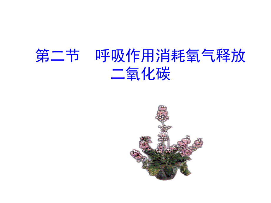 第二节-呼吸作用消耗氧气释放二氧化碳-(1)课件_第1页