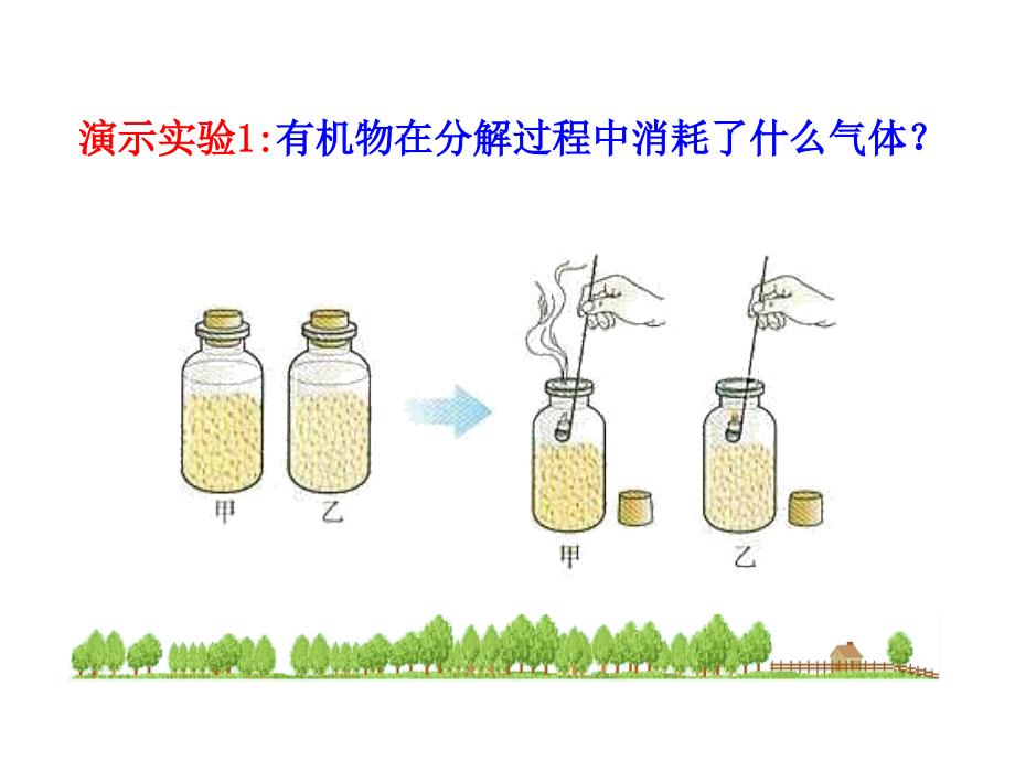 第二节-呼吸作用消耗氧气释放二氧化碳-(1)课件_第4页