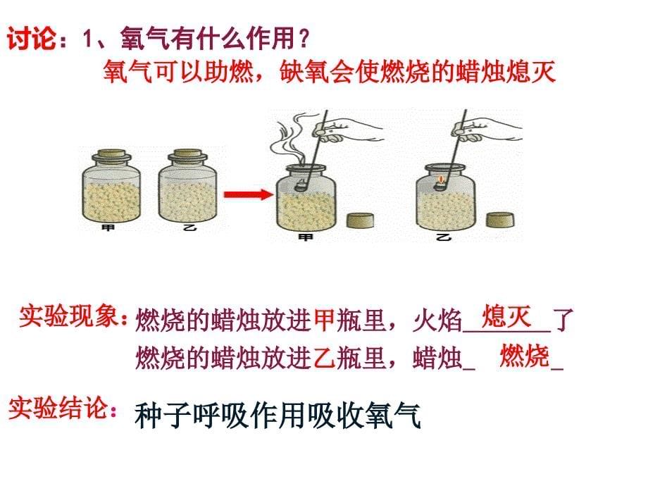 第二节-呼吸作用消耗氧气释放二氧化碳-(1)课件_第5页