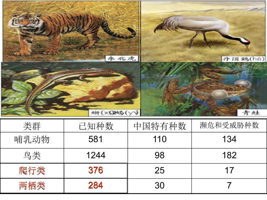 三位加三位数_第3页