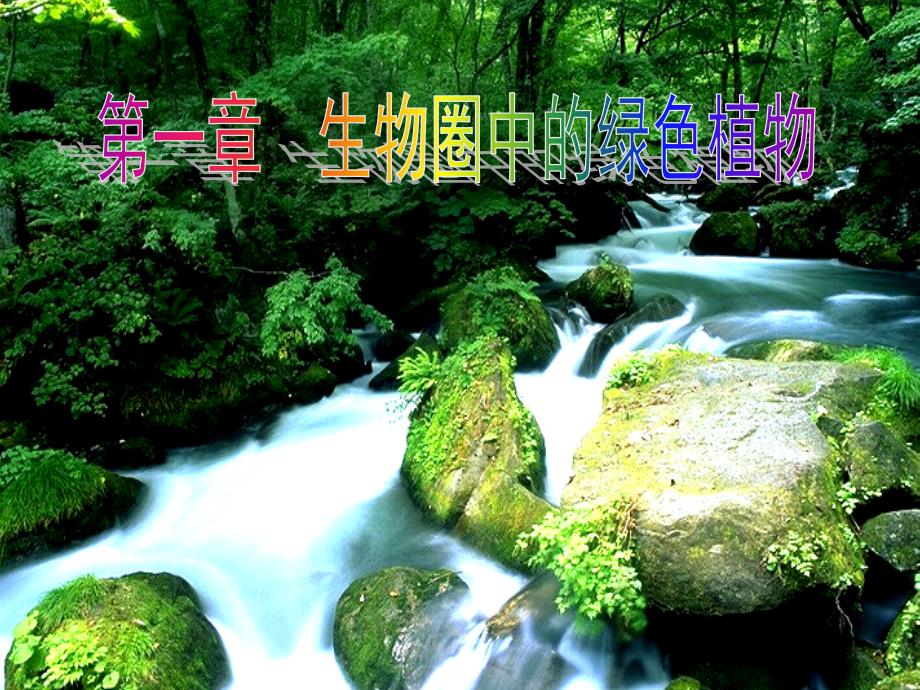 七年级生物 第三单元第一章第一节　藻类、苔藓和蕨类植物2 课件人教版_第1页