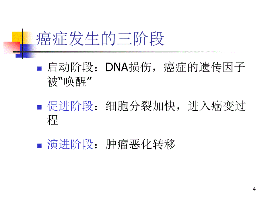 科学饮食健康防癌.ppt_第4页